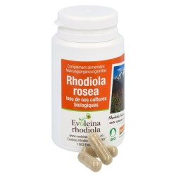 Rhodiola rosea gélules